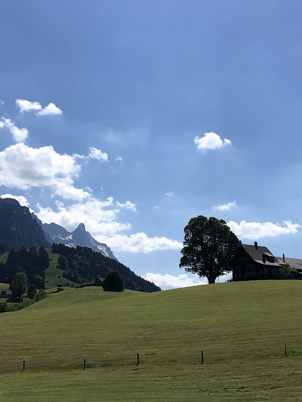 Wasserauen