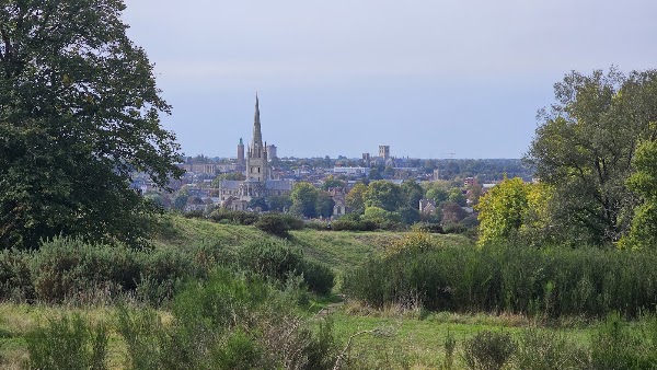 Mousehold Heath 1