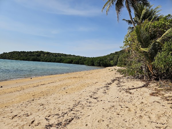 Cape York 1