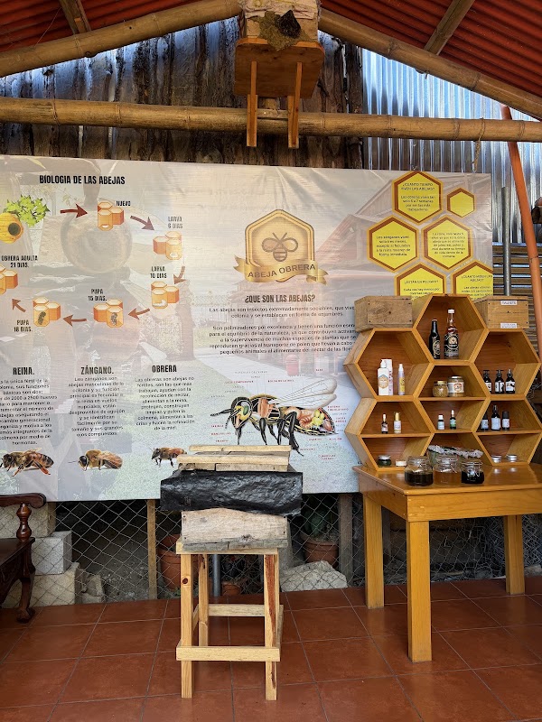 Abeja Obrera 1
