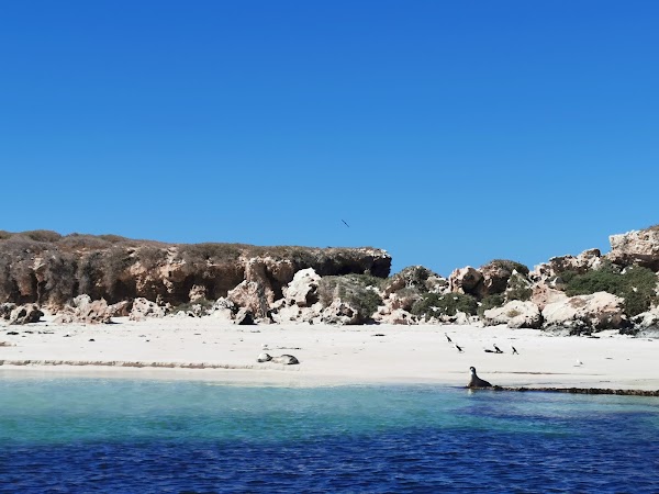 Jurien Bay 3