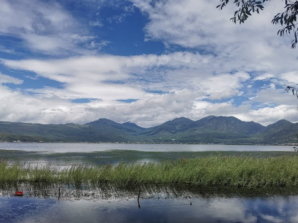 Lashihai