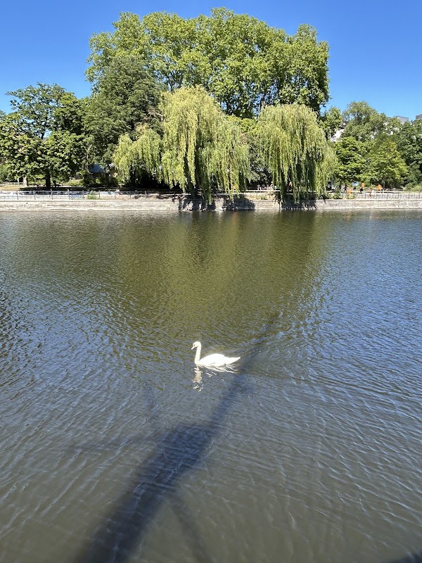 Van Loon Restaurant Boat and Shipping Company 3