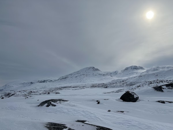 Bjørnfjell