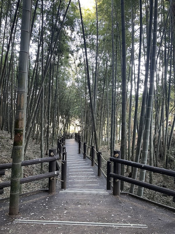 Halla Arboretum, Jeju Island,S.Korea 3