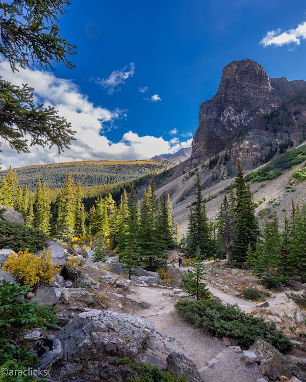 Moraine Lake Rockpile Trail 3