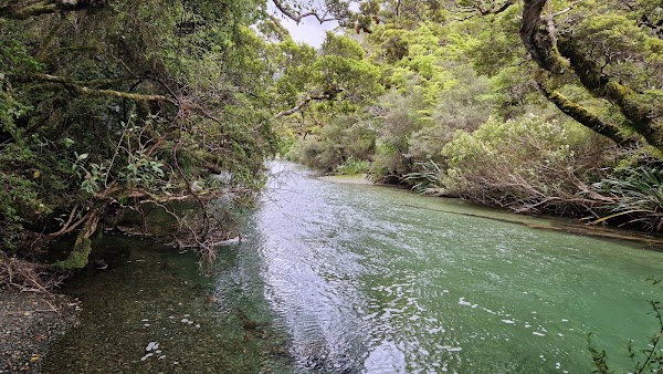 Lake Gunn Nature Walk 5