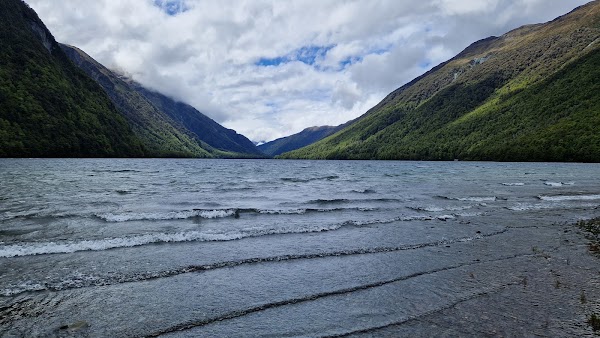 Lake Gunn Nature Walk 4