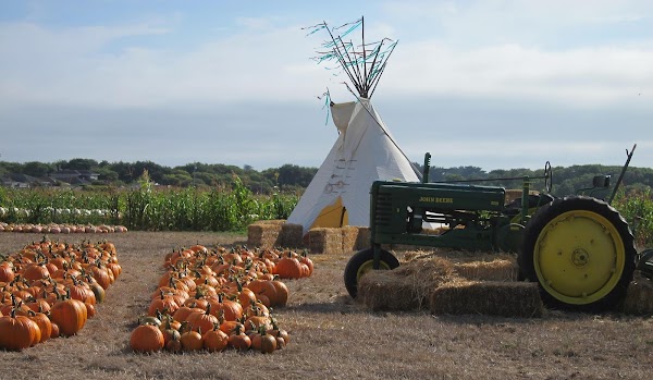 Farmer John's Pumpkin Farm 5