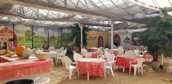 Farmer John's Pumpkin Farm 4