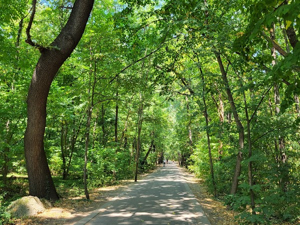 Borisova Gradina Park 3