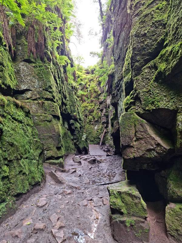 Lud's Church 5