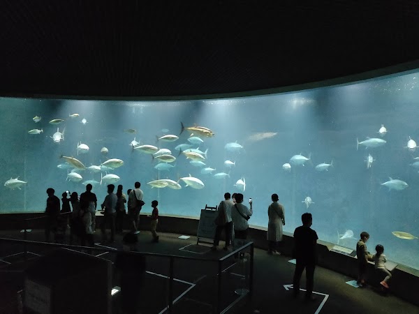 Tokyo Sea Life Park 5