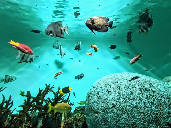 Tokyo Sea Life Park 3