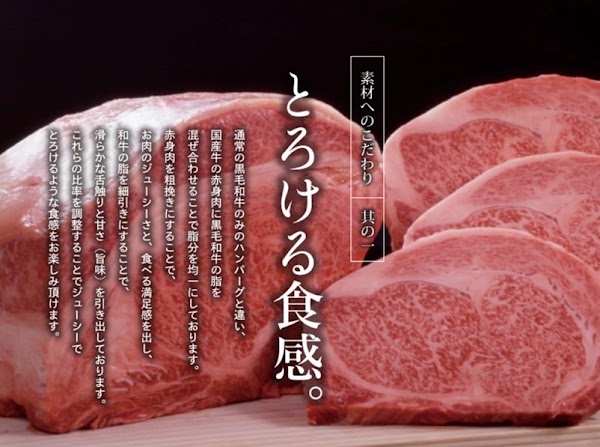 Torokeru Hamburger Steak Fukuyoshi Asakusa Kuramae 5