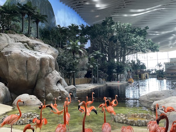 SeaWorld Abu Dhabi | سي وورلد جزيرة ياس، أبوظ 5