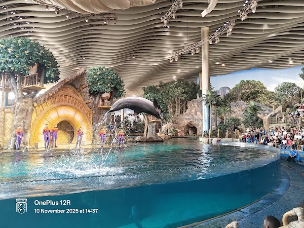 SeaWorld Abu Dhabi | سي وورلد جزيرة ياس، أبوظ 2