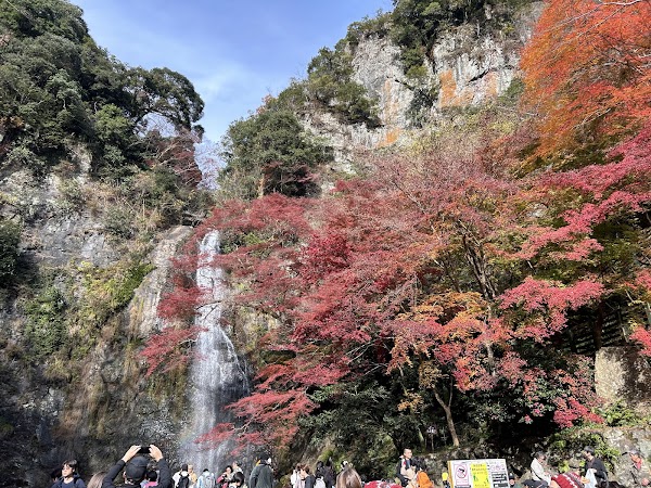 Dainichi Parkig Lot
