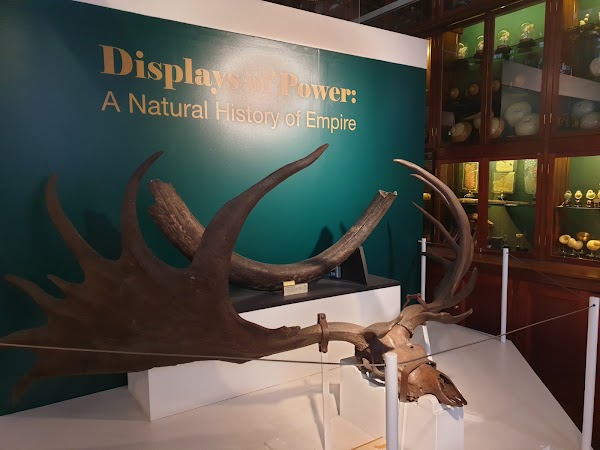 Grant Museum of Zoology 2