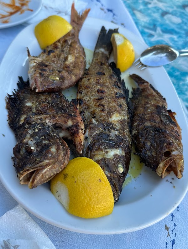 Η Αμμουδιά 3