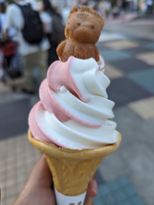 Kuma-san Castella 4