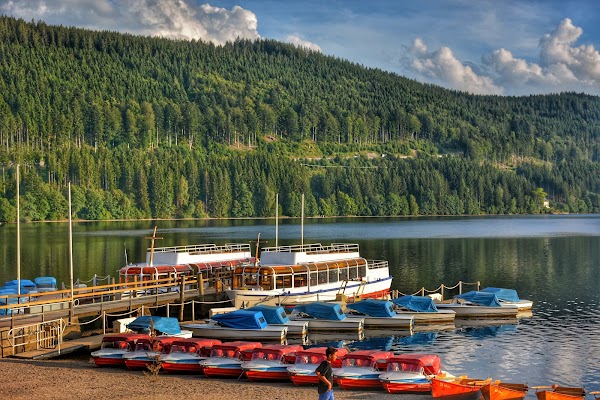 Titisee Lake