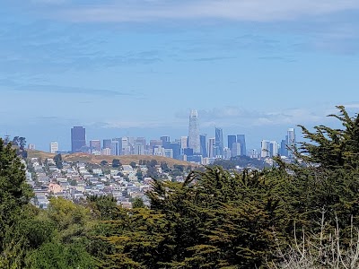 SF Bay Area 77