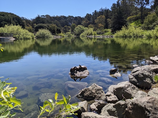 John McLaren Park 2