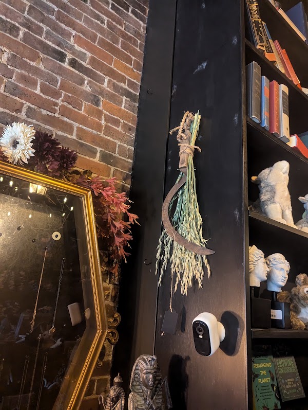 The Black Veil Shoppe for the Grim Hearted 2