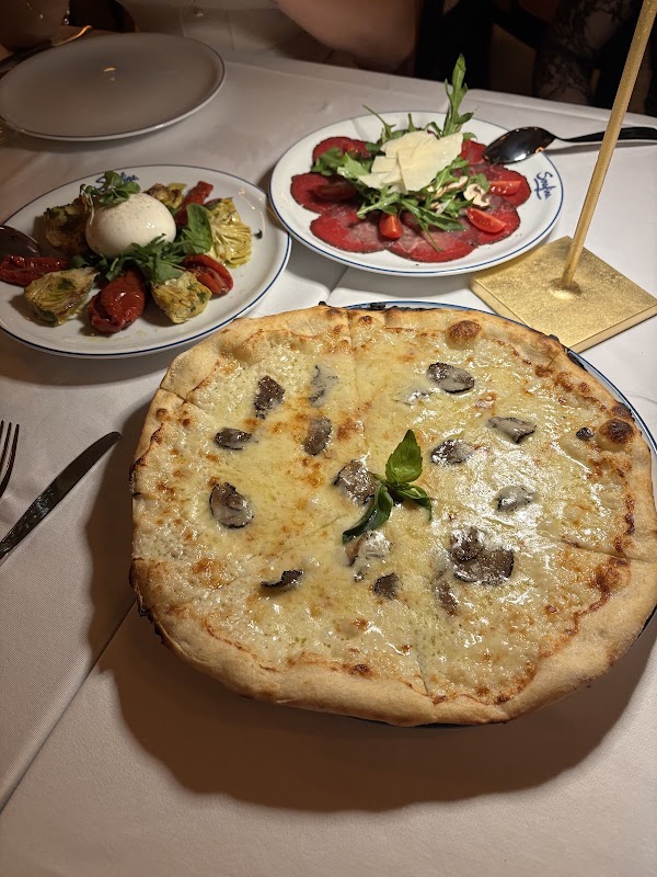 Serafina Marbella 2