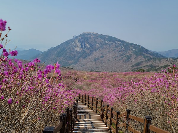 대견사 2