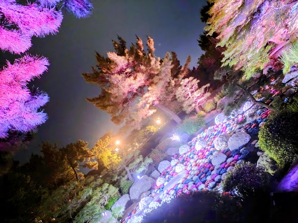 大濠公園日本庭園 宙 SORA 5