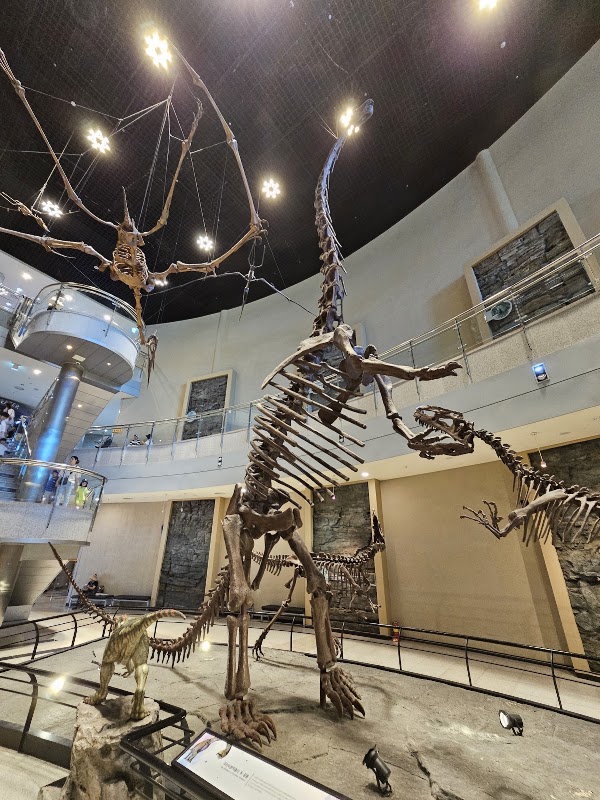 Goseong Dinosaur Museum 4