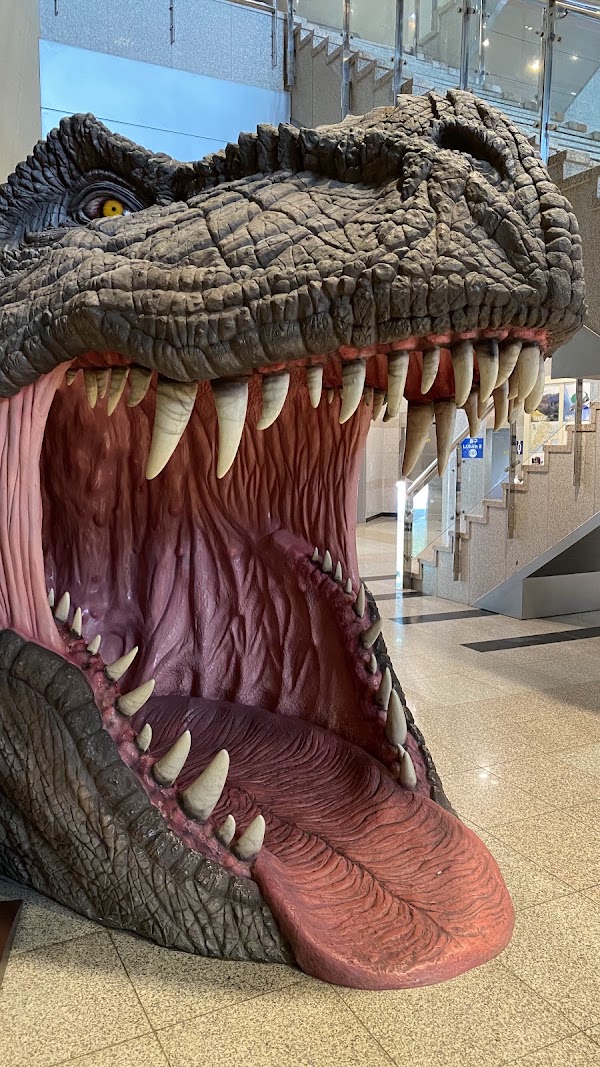 Goseong Dinosaur Museum 2