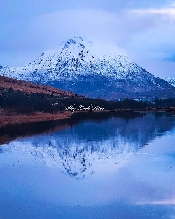 Errigal 5