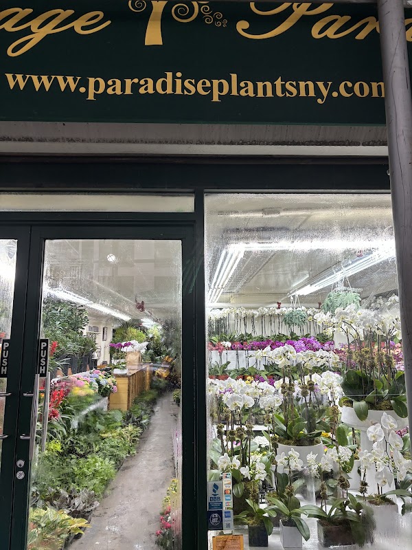 New York Flower Market