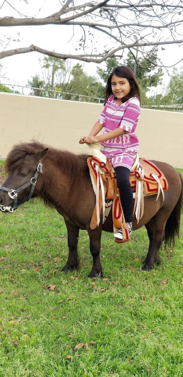 Avocado Heights Park 4