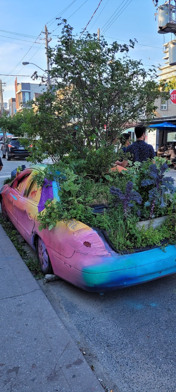 Kensington Market 3