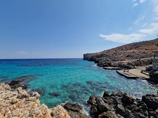 Omprogialos 5