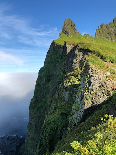 Hornstrandir Nature Reserve 1