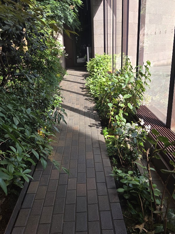 Ford Foundation Public Atrium Garden 3