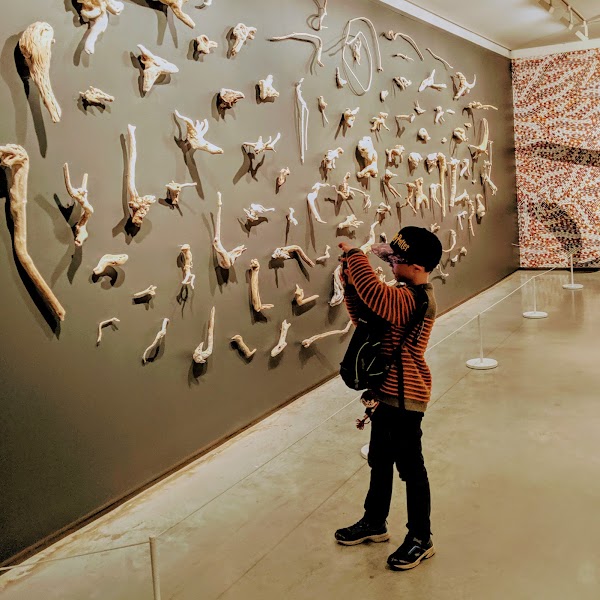 Museum of Contemporary Art Australia 2