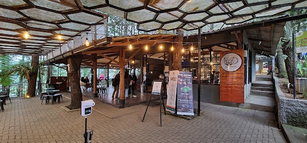 Kopi Daong
