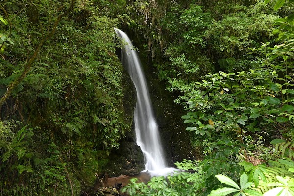 McLaren Falls Park 5