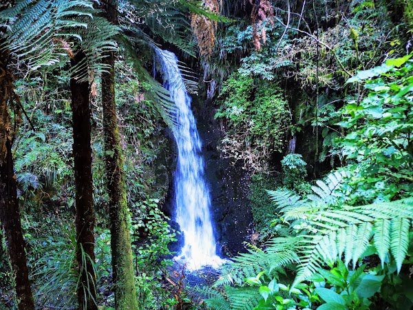 McLaren Falls Park 3