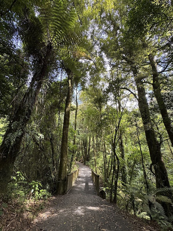 McLaren Falls Park 2