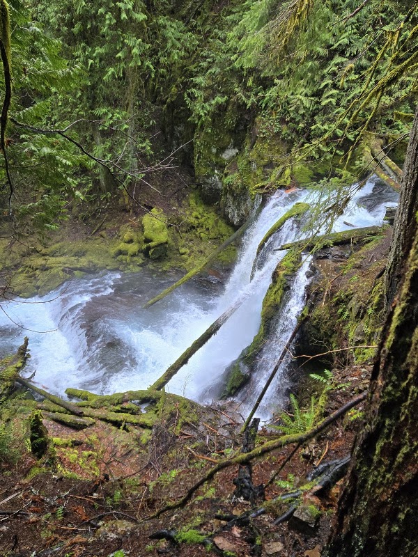 Panther Creek Falls 5