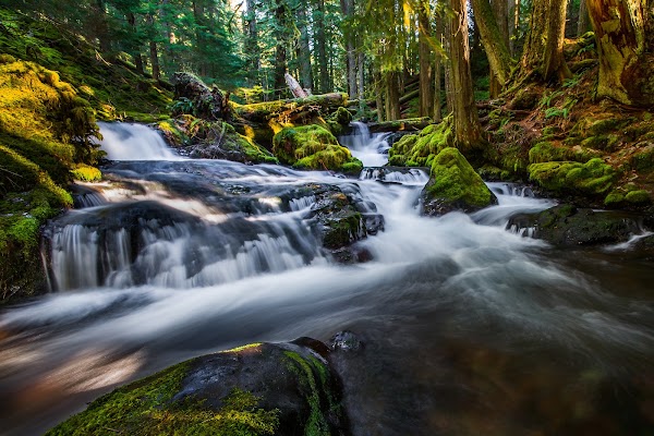 Panther Creek Falls 4