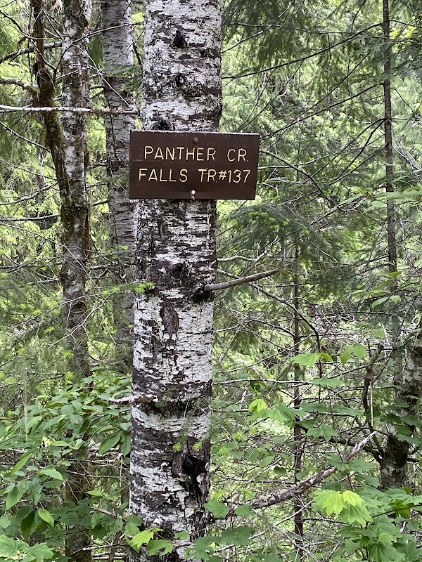 Panther Creek Falls 3
