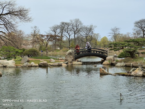 Jackson (Andrew) Park 6